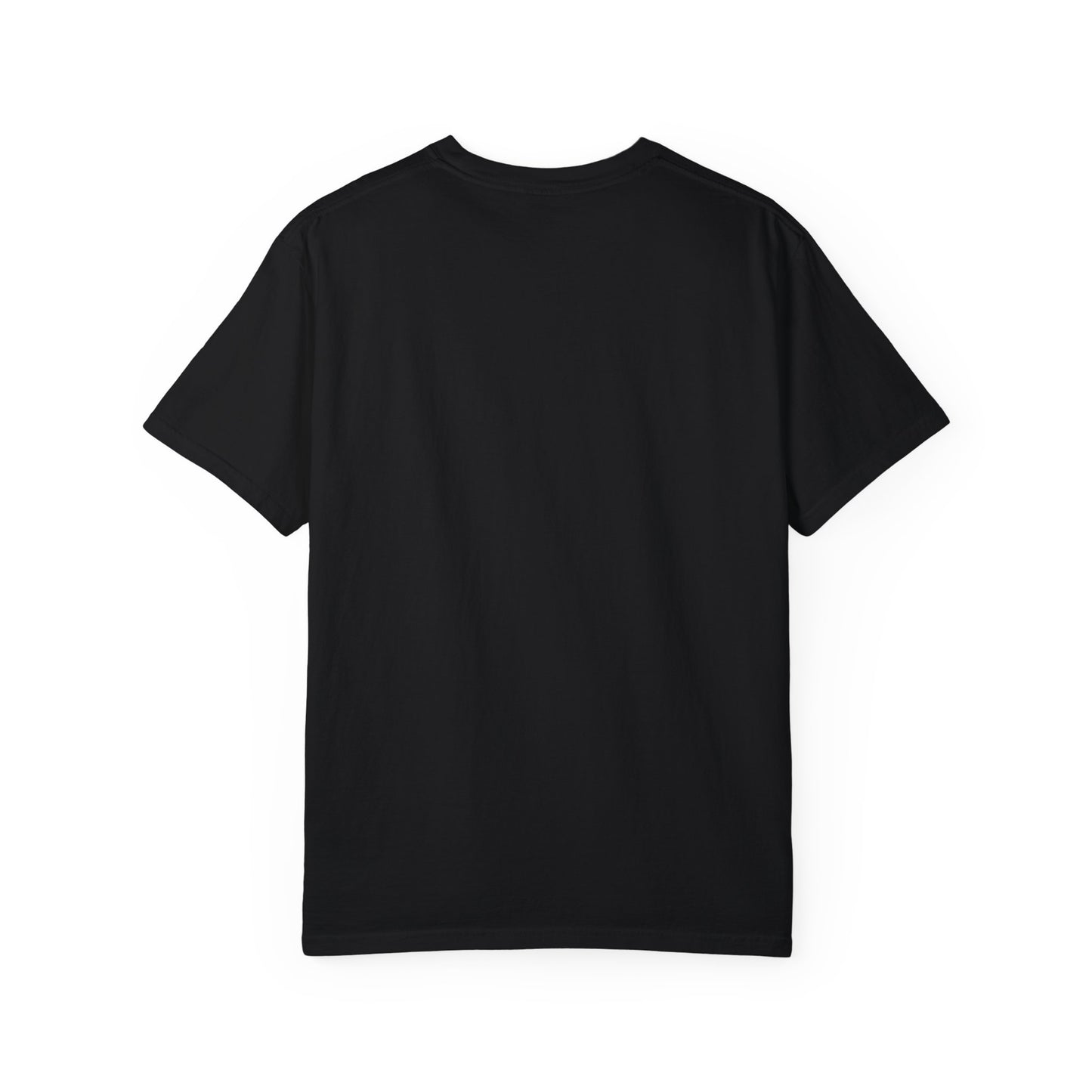 Airplane Fasten Seatbelt Sign Unisex Garment-Dyed T-shirt
