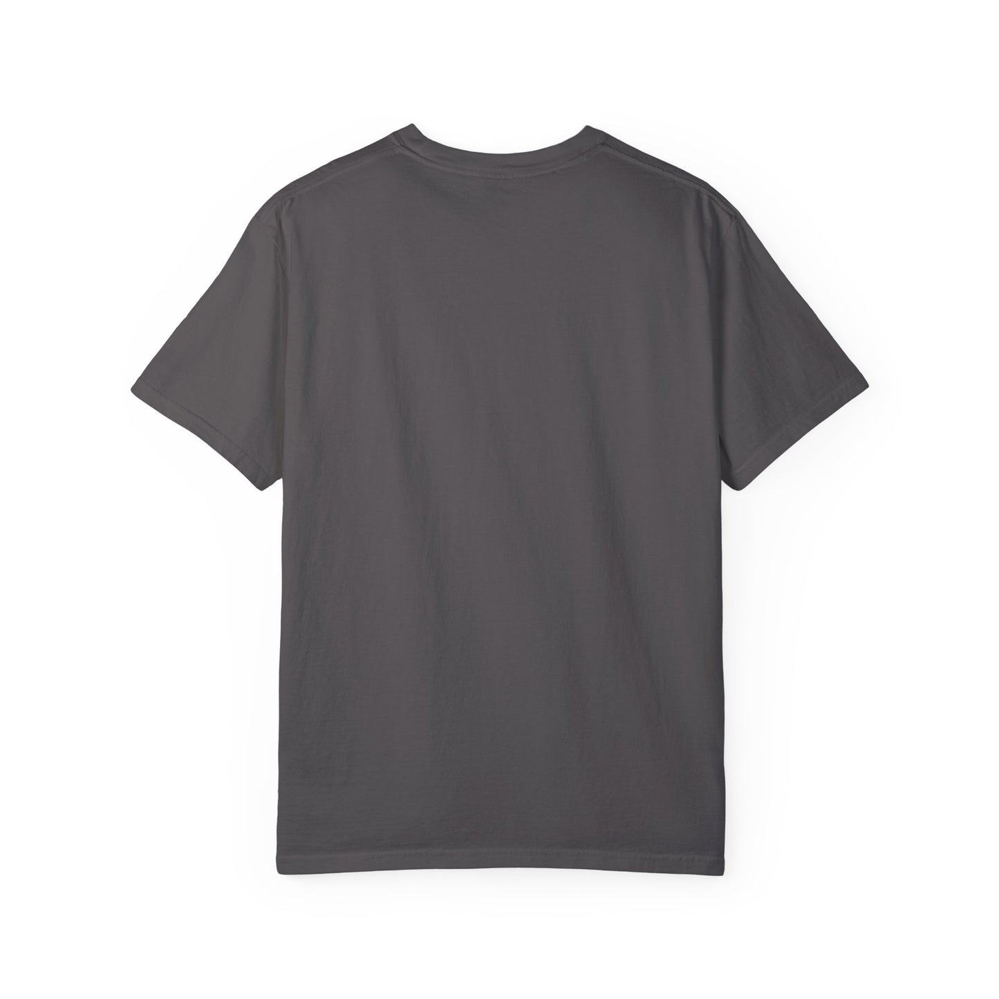 Airplane Fasten Seatbelt Sign Unisex Garment-Dyed T-shirt