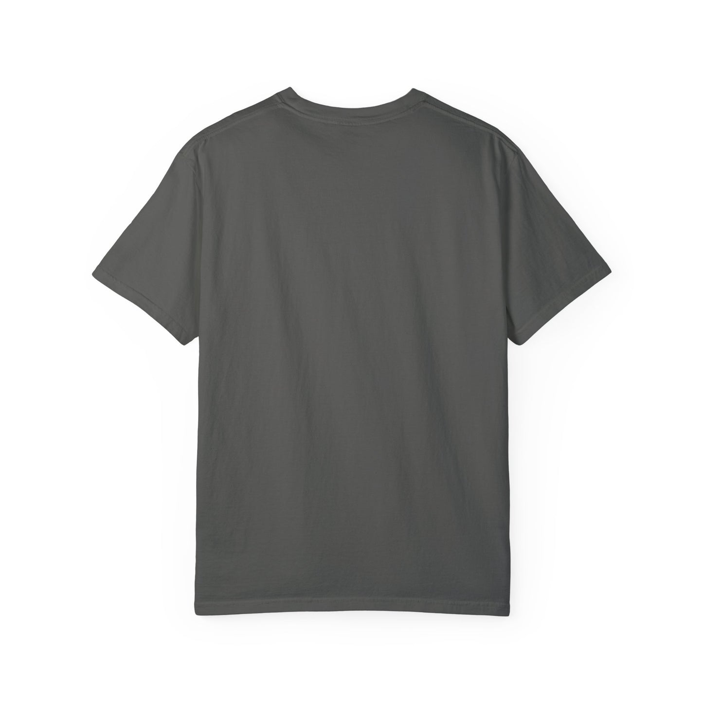 Airplane Fasten Seatbelt Sign Unisex Garment-Dyed T-shirt