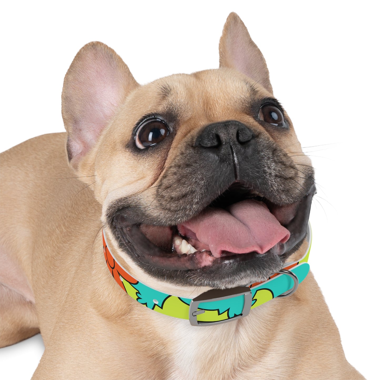 Groovy Dog Collar