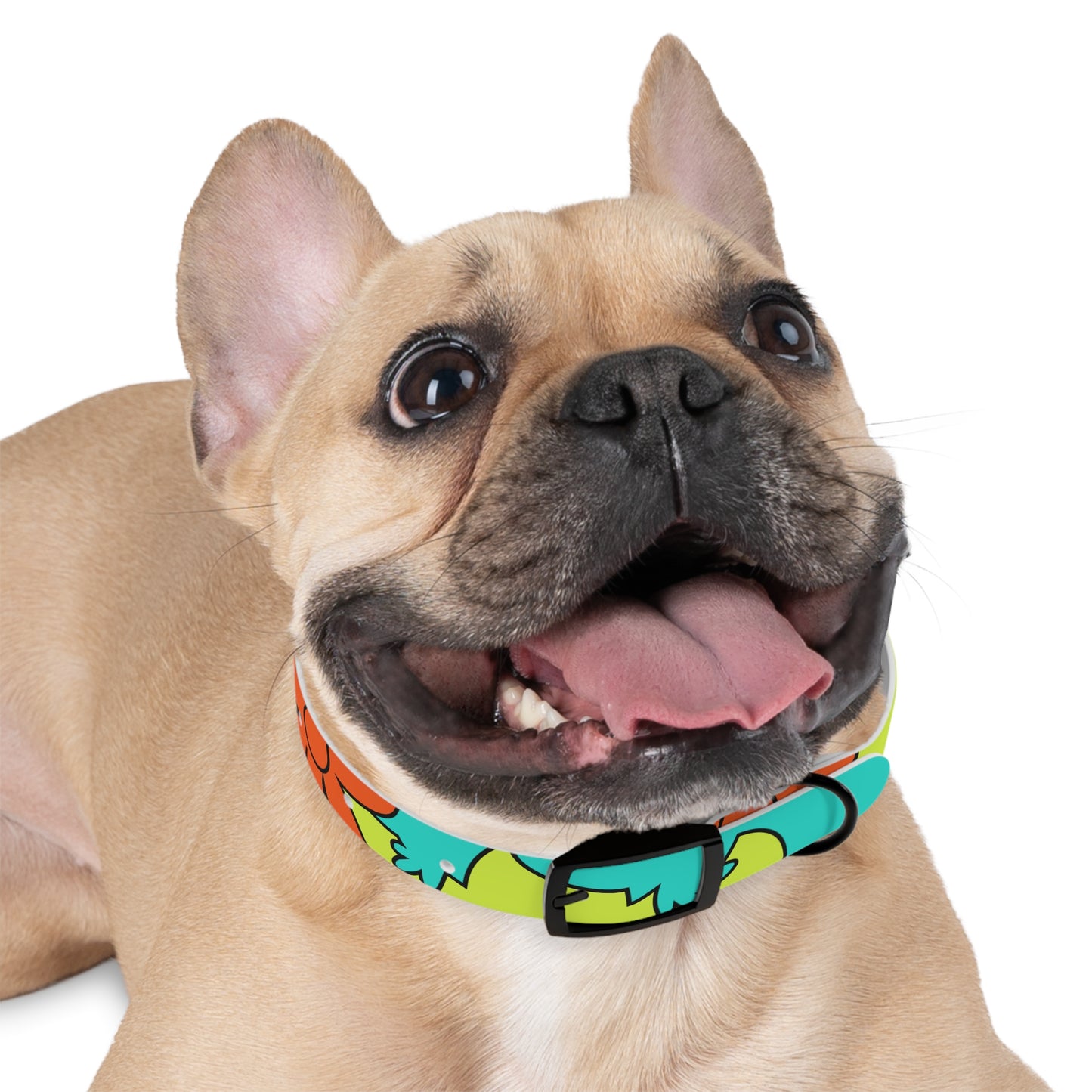 Groovy Dog Collar